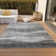 Machine Washable Indoor/Outdoor Chantille ACN1141 Gray Rug