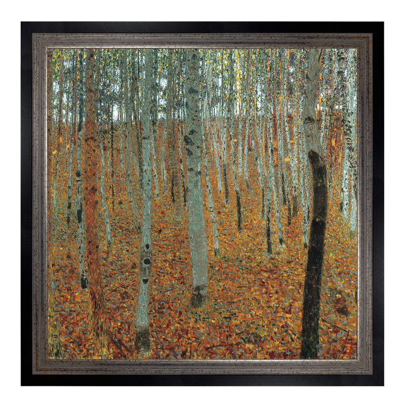 Forest Of Beech Trees