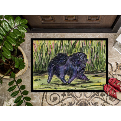 Non-Slip Indoor Doormat