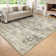 Kiner Vintage Machine Washable Area RugsPerfect for Living Room, Dining Room, Bedroom