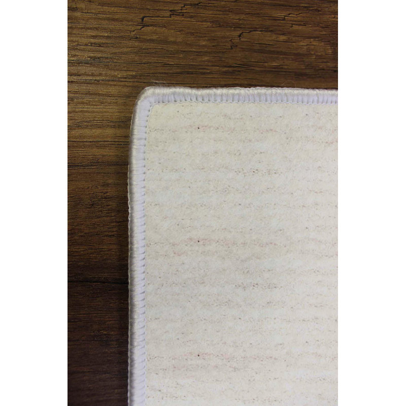 Tapis tissé de qualité supérieure (1,6 x 2,6 pieds), 100% polyester, d'une hauteur de poils de 0,3 po | Pois antibactérien antidérapant en PVC | Lavable à la machine, impression numérique 3D | Idéal pour le salon, la chambre à coucher et le vestibule