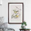 Prothonotary Warbler Birds by John Audubon - Picture Frame Painting Print-55602070-55602071
