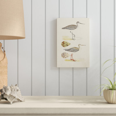 «Sandpipers and Eggs I», impression sur toile