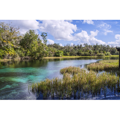 Rainbow Springs Landscape by Campphoto