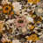 Petal/Coin selected