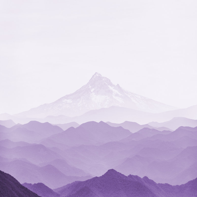 Wanderlust mauve, H 20 po x l 20 po