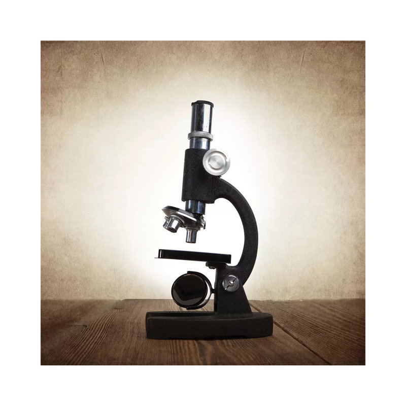 Microscope - Print on Canvas, Wrapped Canvas, 30.48 cm H x 30.48 cm W