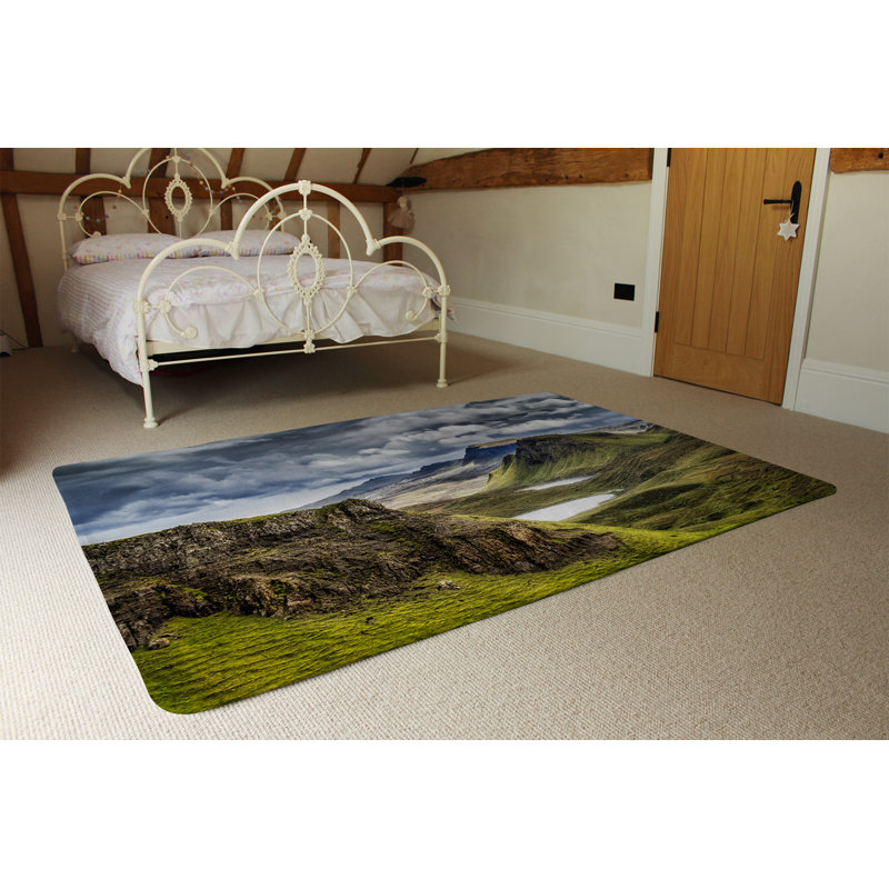 Jacob-Lee Shag Area Rug, Rectangle 80 x 150cm
