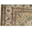 Oriental Area Rug in Ivory