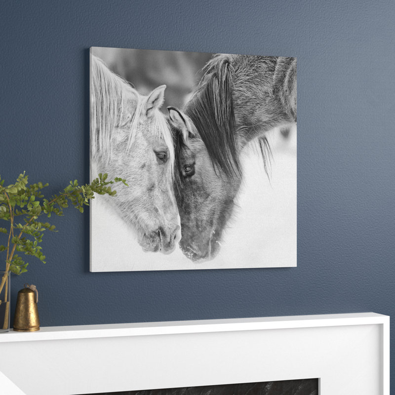 B&W Horses VII by PHBurchett - Print, 76cm H x 76cm W, Wrapped Canvas