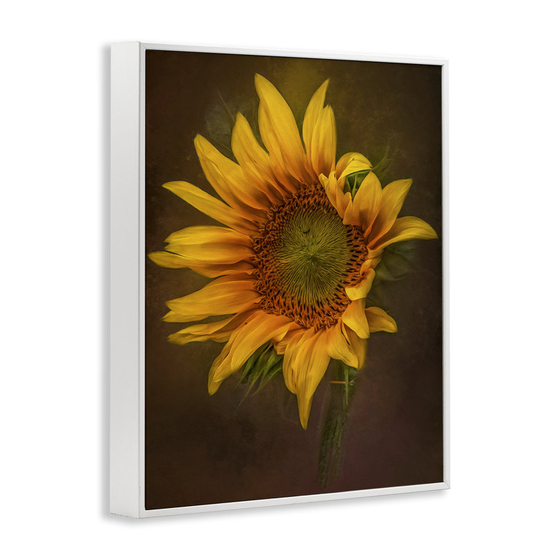 Art de giclée tournesol de pétales de curling par Kelley Parker, Estampe numérique encadrée blanc bord de mer