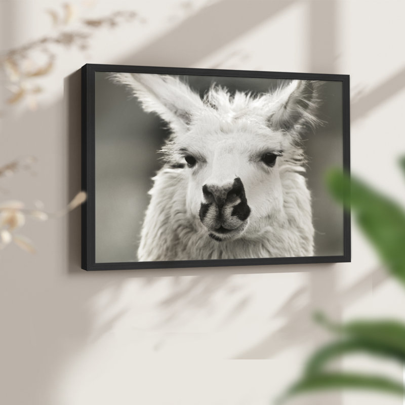 Let's Chat -Framed Print - Restickable, Black, 16" H x 20" W