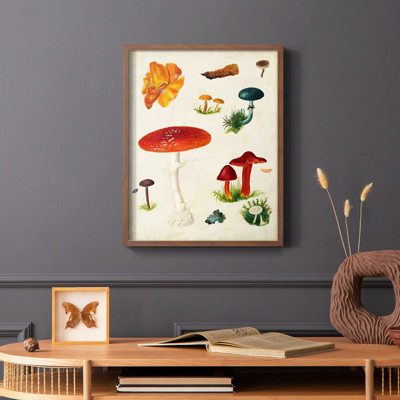 Reproduction encadrée champignon Mushroom Species, Brun, H 14 po x l 11 po