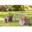 Cast Naturals Solid Coffee Table-1595370187