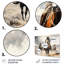 Western Dust and Grit I - Décoration murale en métal Western-1728728866
