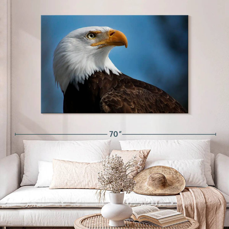 Aigle à tête blanche Brampt, H 34 po x l 51 po