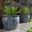 Vase-852586401