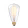 Edison 60 Watt E26/Medium (Standard) Dimmable 2200K Incandescent Bulb