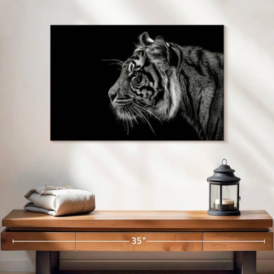 Profil de tigre Brampt