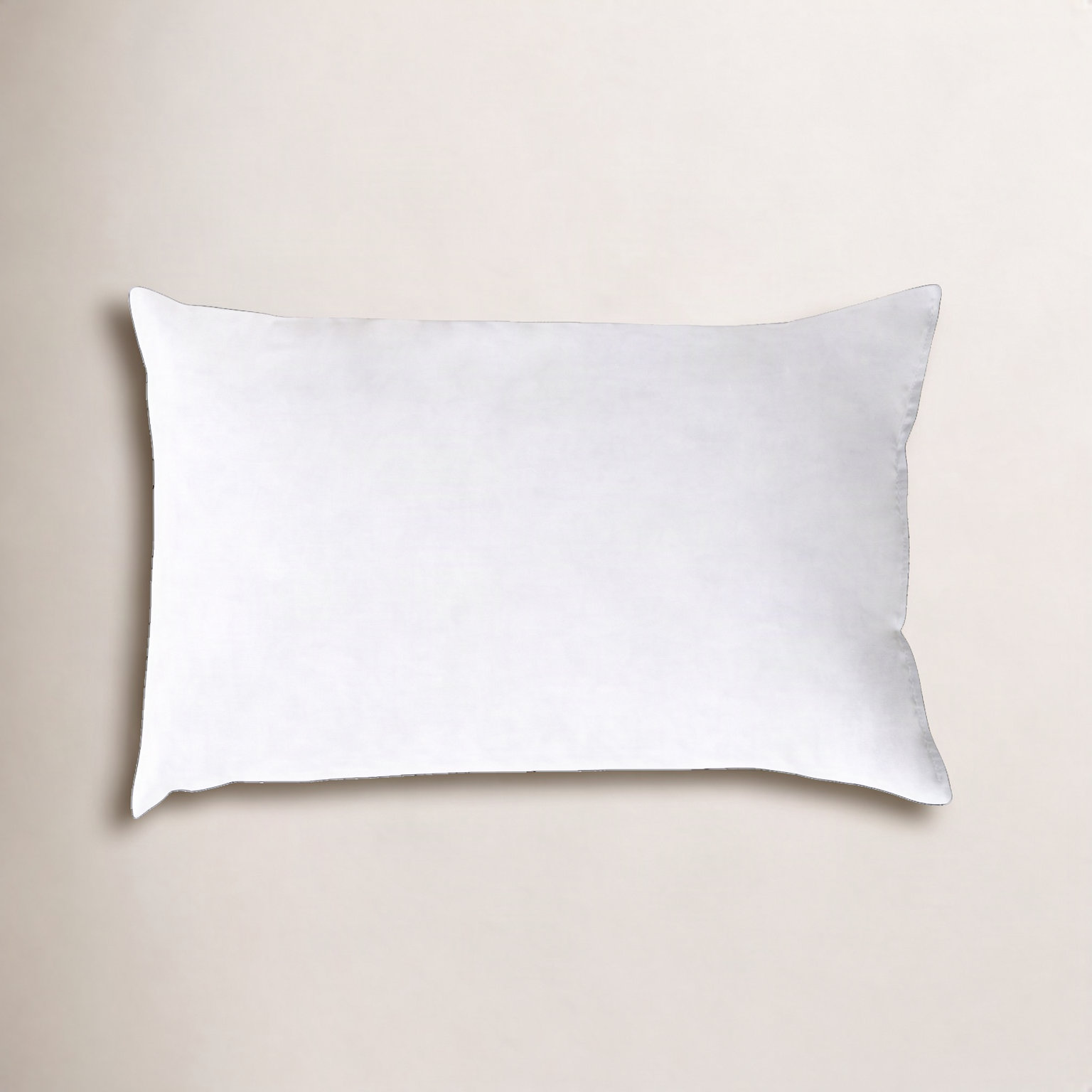 Roshina Cushion Pad, 16" x 24"