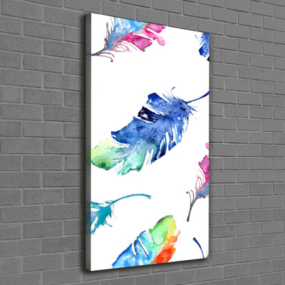 Colorful Feathers - Wrapped Canvas Print