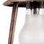 Rosalie Black 1 - Bulb 20.5 H Outdoor Adjustable Hanging Lantern