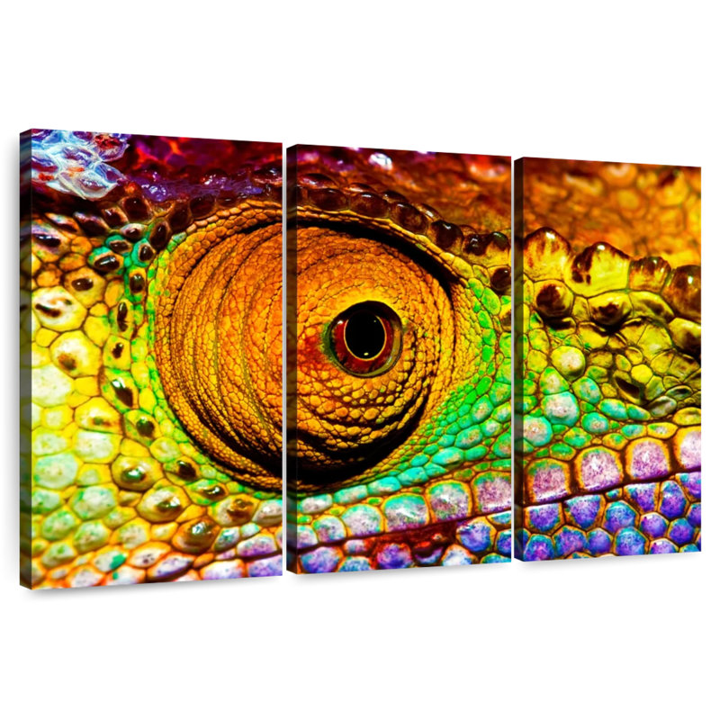 Eye Of Chameleon, 36" H x 57" W