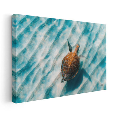«Sandbar Sea Turtle II», reproduction d'art sur toile