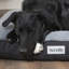 Scruffs Harvard Orthopedic Dog Bed - For Ultra Support & Comfort-92663478-92663476