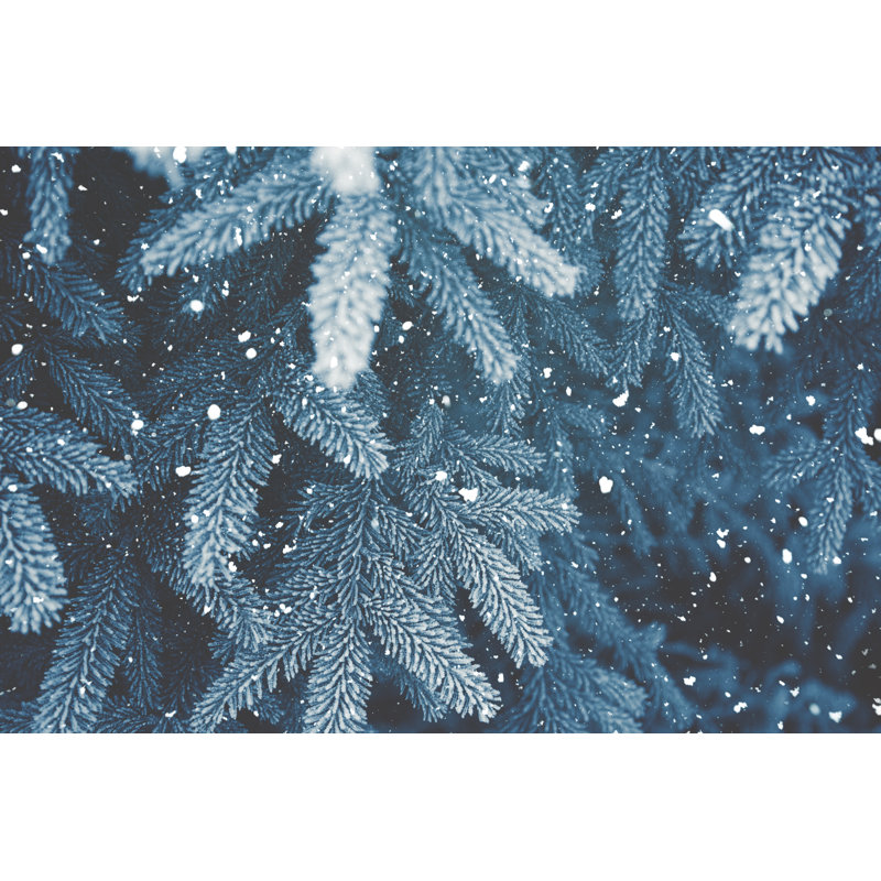 Winter Scene by Andrey Danilovich - Wrapped Canvas Print, 30cm H x 46cm W x 3.8cm D