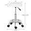 Saltsburg Adjustable Height Ergonomic Lab Stool Wheels-369849972-369849973