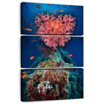 Cœur de corail Brampt