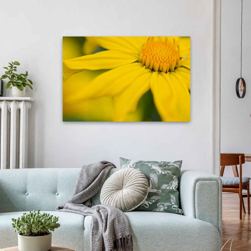 Plantes, fleurs, marguerite élégante I, art mural, H 24 po x l 36 po