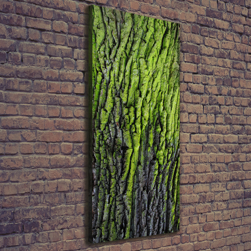 Tree Bark - Wrapped Canvas Print