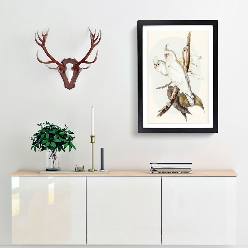 Blood-Stained Cockatoos by Elizabeth Gould - Picture Frame Art Print, 65cm H x 48cm W x 2cm D, Black Framed