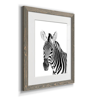 " Safari Zebra "
