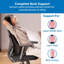 Coussin de dossier complet Ergo Collection