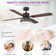 Ebern Designs 52”Modern Ceiling Fan With Light And Remote Control