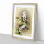 Magnolia Flowers Illustration Tab. 30 by Frederick Sander - Picture Frame Painting Print-55759378-55759383