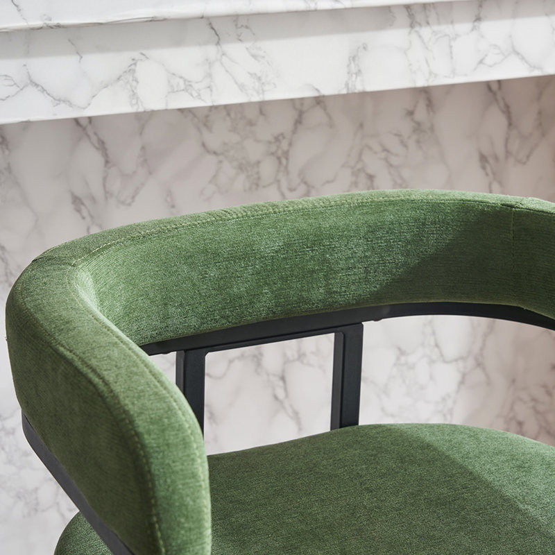 Chaises de salle à manger, Vert