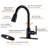 Pull Down Kitchen Faucet-73207330