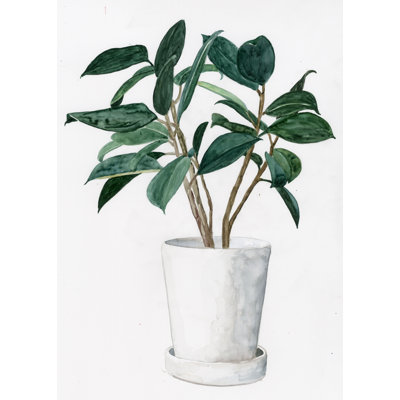 Potted Plant - Wrapped Canvas Print