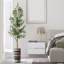 68 plantes-95099217