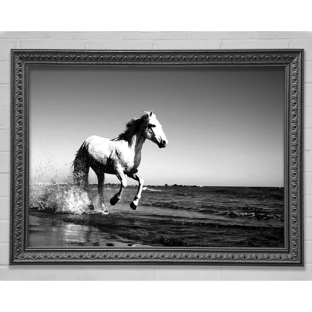 Camargue Gold Horse Gerahmter Druck