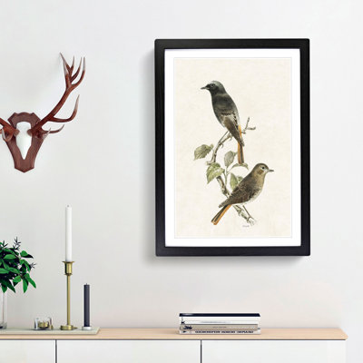 European Black Redstart by Von Wright - Picture Frame Painting Print