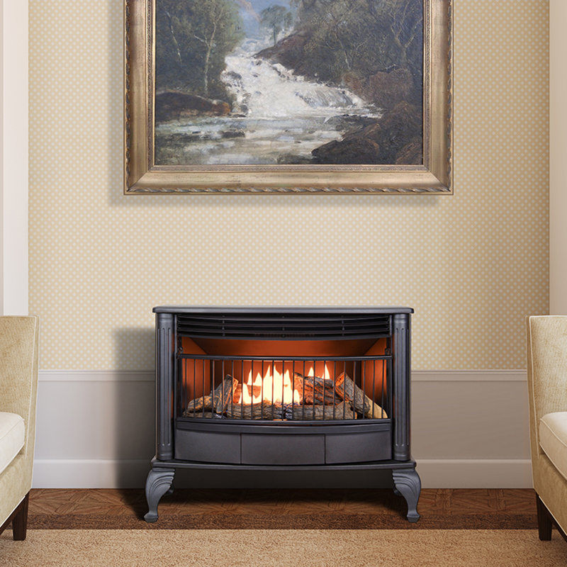 Black Ceramic Dual Fuel Gas Stove with Thermostat Control