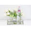 Plateau tactile miroir