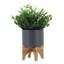 Pot à fleurs 5 po avec support en bois, gris mat-1977365318