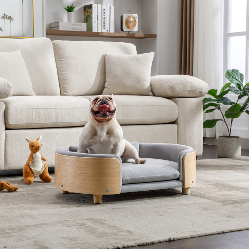 Lit pour chien surélevé de style scandinave avec pattes en bois massif et dossier en bois courbé, coussin en velours gris moyen