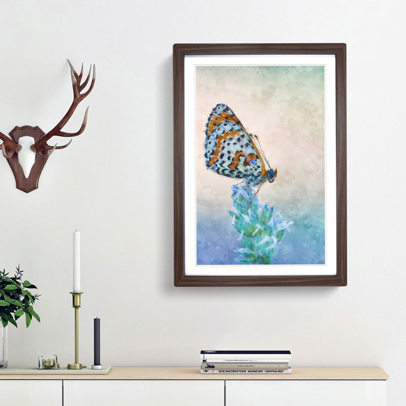 Butterfly Perched upon a Flower - Picture Frame Graphic Art Print, 33cm H x 24cm W x 2cm D, Walnut Framed